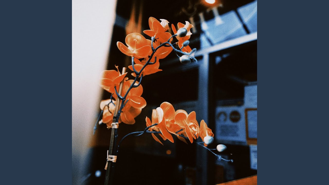 在 YouTube 上觀看「Memory Pool」 在 YouTube 上觀看「Memory Pool」