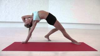 The Art Of Arm Balances And Backbends