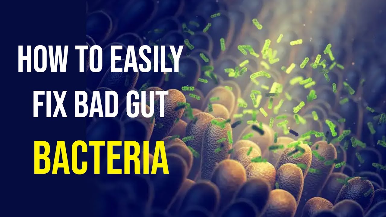 Improve Your GUT MICROBIOME (Gut Bacteria Fix) How to have a healthy ...