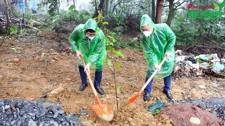 Tại sao vùng đất trống đồi trọc núi là gì năm 2024