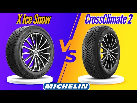 BIG SHOWDOWN |