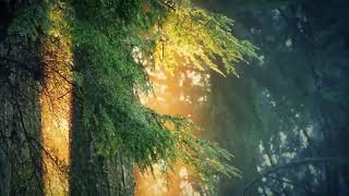 Calm Celtic Music for Meditation,Sleep, Yoga.