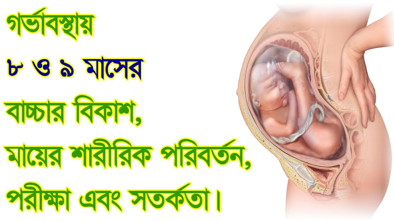 ৮ ও ৯ মাসের শিশুর বিকাশ, মায়ের শারীরিক পরিবর্তন, পরীক্ষা ও সতর্কতা। Fetal Baby Development
