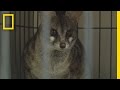 Exotic Animal Handling and Operations