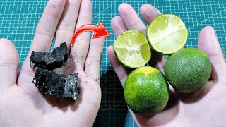 Just mix Charcoal with Lemon and create a result that will surprise you || Professor Invention