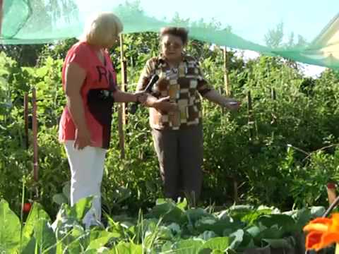 Агрошкола