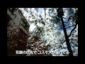 こんな素敵な夜に一人(オリジナル曲)