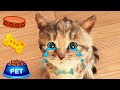 My Favorite Cat Little Kitten Adventure -  Play Fun Cute Kitten Adventure Care Games For Kids #170