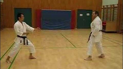 Sensei Yamaguchi demonstartion application from Junro Yondan