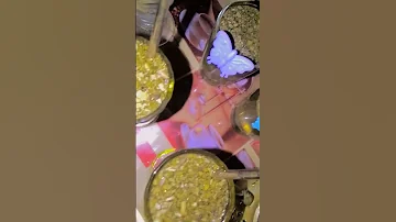 لمتنا الحلوة عايزة صورة 