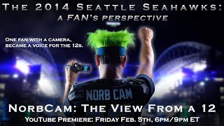 The 2014 Seattle Seahawks - a FAN's heartbreaking journey (NorbCam: The View From a 12)