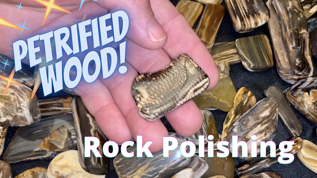 Petrified Wood Polishing YouTube