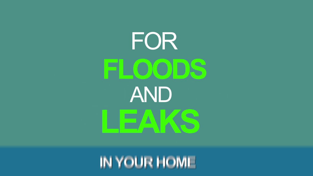 Best Water Damage Restoration and Cleanup Oakland