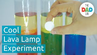 Lava Lamp Experiment with Oil and Water | Home Science