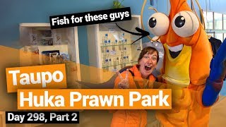 ? Huka Prawn Park in Taupo – New Zealand's Biggest Gap Year – Backpacker Guide New Zealand