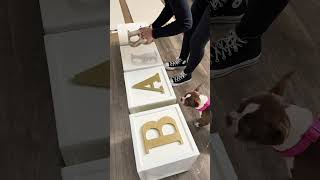 Diy jumbo baby blocks for gender reveal #doityourself #diy #genderreveal #heorshe