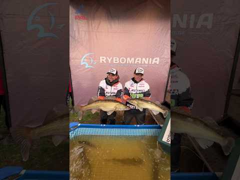 РЕКОРДНЫЕ СУДАКИ Финала