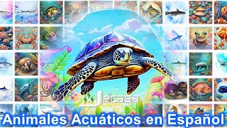 Nombres de Animales Acuáticos en Español | Aprendiendo Español