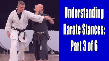 Understanding Karate Stances: Part 3 of 6