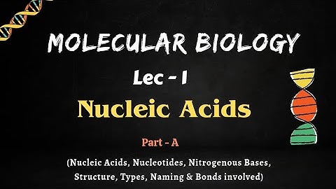 Molecular Biology Lec - 1 || Nucleic Acids, Part -A || For IIT-JAM, GAT-B, TIFR, IISER, CUET, NEET.