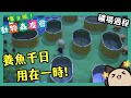 【集合啦！動物森友會/動物之森】柵欄不夠？拿魚來～！【自製石頭場過程】