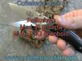 Fallkniven p  p3g  folder knives  coltelleria collini