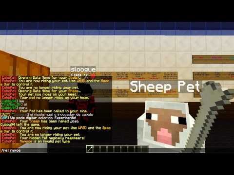 Tutorial - EchoPets - Como utilizar.