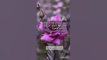 #تلاوات #القرآن_الكريم #تلاوة ماتيسر من #سورة #سورة_النحل #قرآن #quran