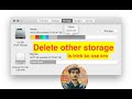 Mac Other Storage: How To Delete It! (Works With M1 Mac and Intel Mac)