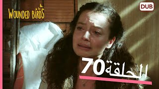 الطيور الجريحة | الحلقة الكاملة 70 |  مدبلج عربي