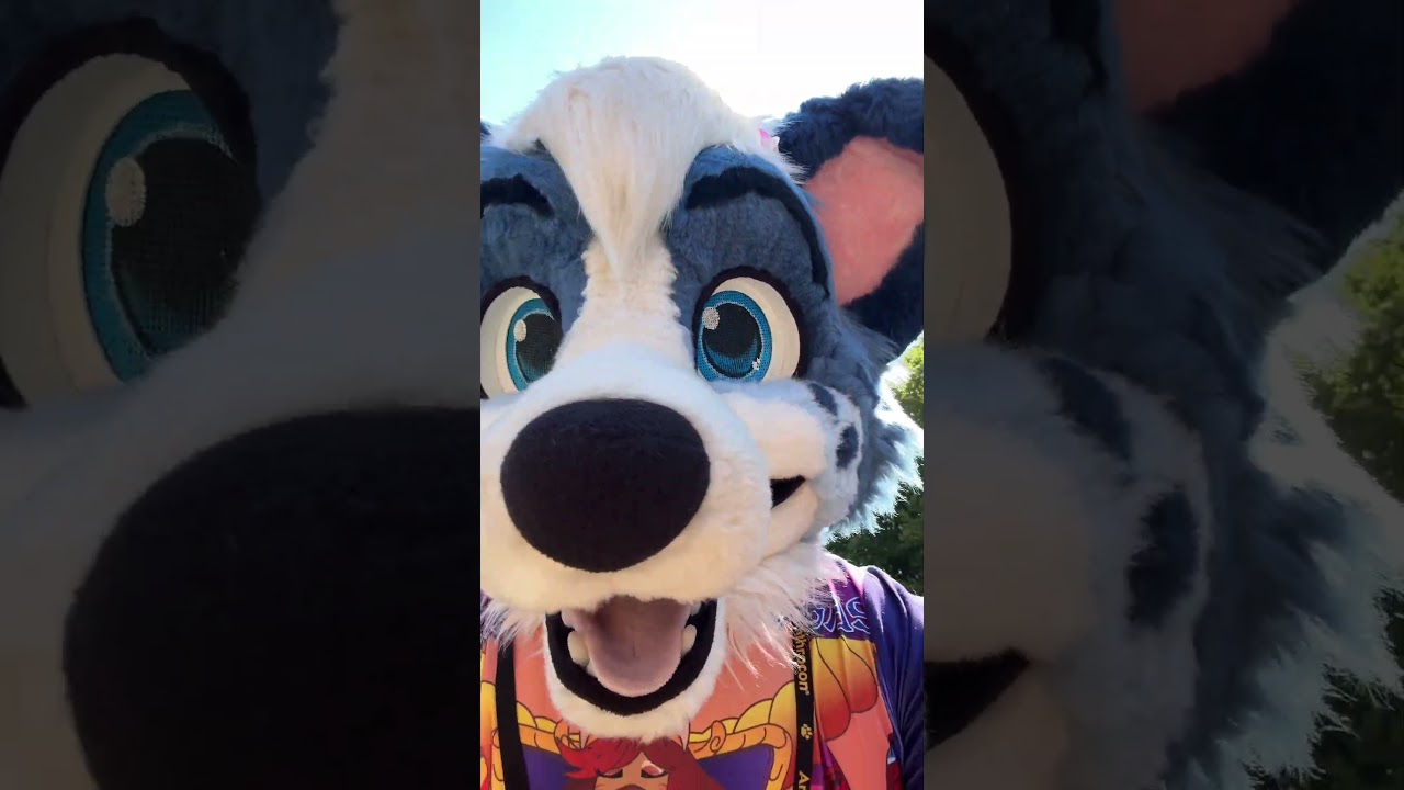 Performance @ Anthrocon