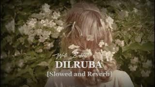 Dilruba - Wali Bakhat | Slowed Reverb | Trending Song
