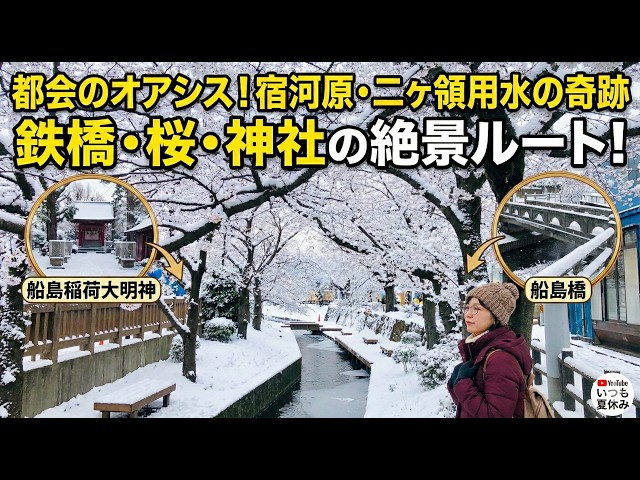 A great spot for viewing the cherry blossom trees of Shukugawara