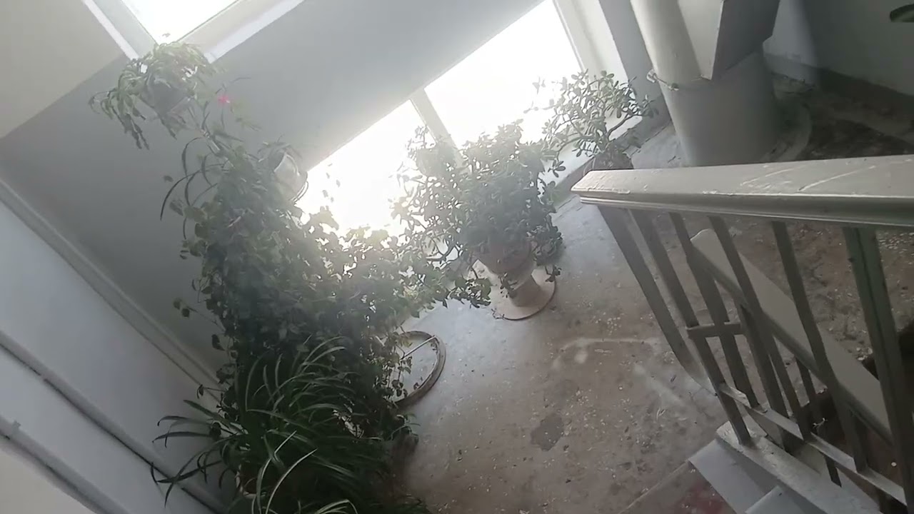 ВП 30-М! Лифт МЛЗ 1976 г.в (лоханулся на кнопку - думал что первый этаж а это ВЫЗОВ ДИСПЕТЧЕРА)