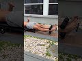 Goodbye lower back pain! #homeworkout #mobility #advancedabworkout #aznolt #shoulder #strongabs