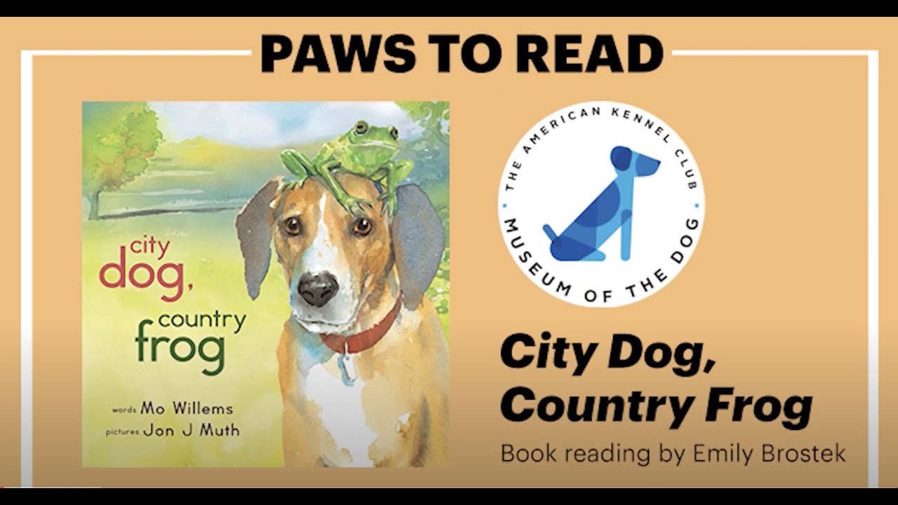 MOD Paws to Read--"City Dog Country Frog" by Mo Willems - YouTube