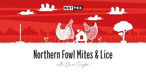 Northern Fowl Mite & Lice with Clare Taylor and Nettex