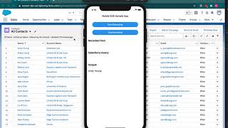 Use Salesforce.com with voice commands from a React Native App | Wit.ai