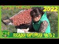 Посадка картофеля 2022/ 3 Апреля/ Част 2