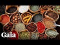 The ancient living science of ayurveda