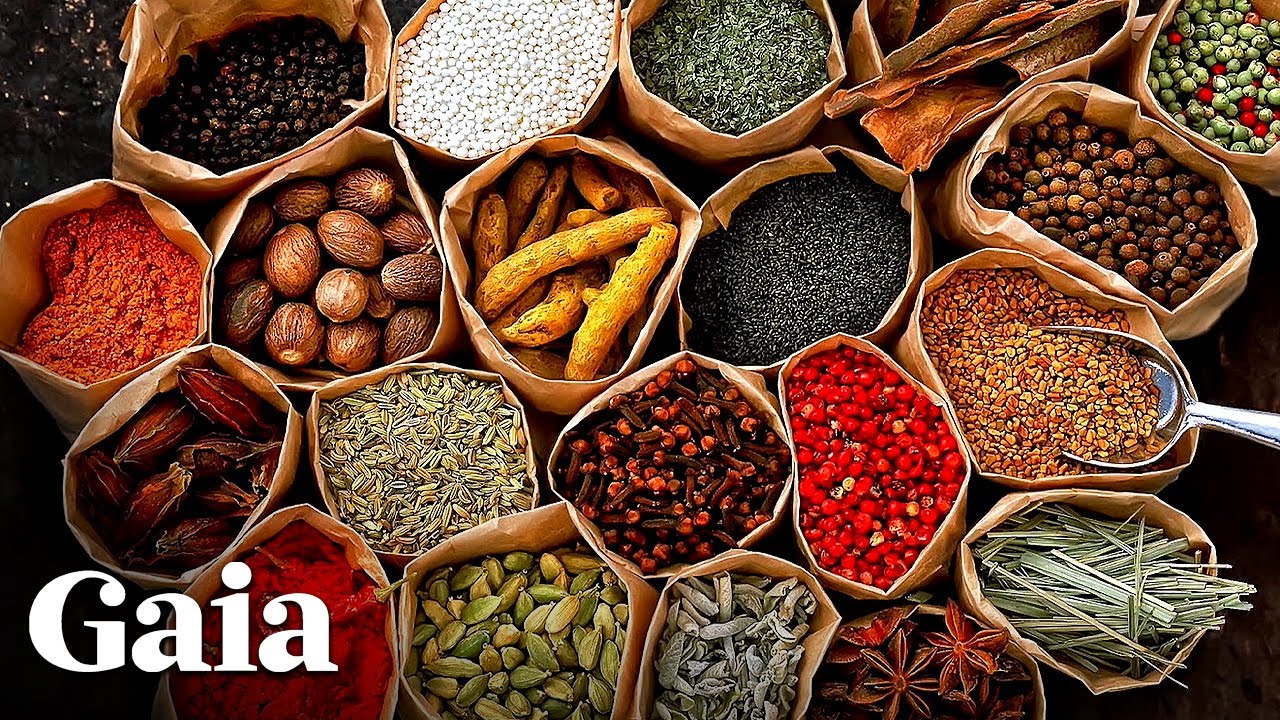 The Ancient Living Science of Ayurveda