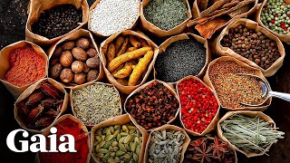 The Ancient Living Science of Ayurveda
