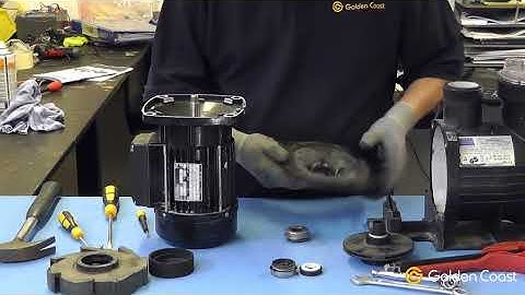 Changing the Shaft Seal on a Swimming Pool Pump | Andy