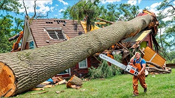 Dangerous Fastest Idiots Cutting Tree FAILS Skill With Chainsaw | Tree Falling on Houses #1