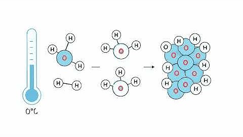 Why Does Ice Float? The Science That Saves Aquatic Life