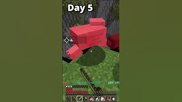 Turning $1 into $100M on Hypixel Skyblock | Day 5