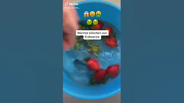 Was macht man gegen Würmer in den Erdbeeren?