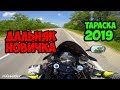 ТАРАСКА 2019 || ДАЛЬНЯК на СПОРТЕ для НОВИЧКА || ТАРАСОВА ГОРА