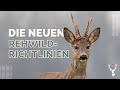 Die neuen  rehwildrichtlinien  so wird knftig bewertet 