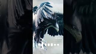 Eagle Sound Ringtone Hawks Ringtone || Egale Trending Ringtone, Eagle BGM Ringtone || screenshot 2